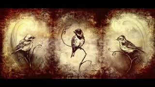 Sezai Karakoç - Mona Roza - Fon Müziği