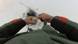 Видео Зимняя блесна в окрестностях г. Ростов-на-Дону от b1gFISHERman, посёлок Фрунзе, Ростов-на-Дону, Россия