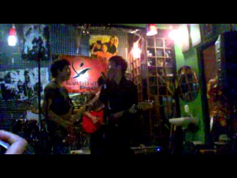 Bees Beat-Ticket To Ride Beatles Cover