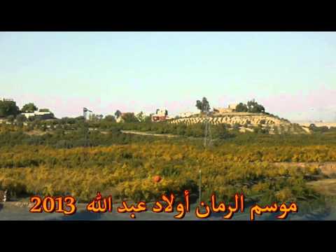 موسم الرمان أولاد عبد الله oulad abed allah