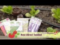 planting