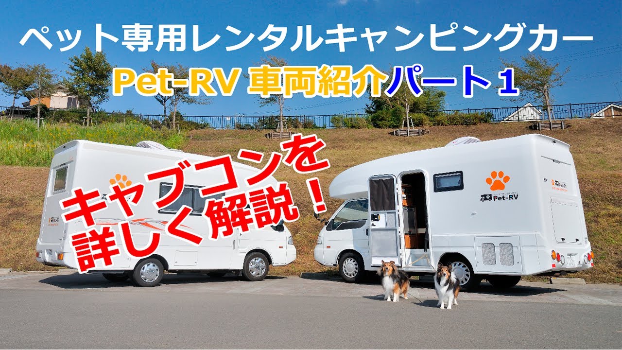 すべての動画