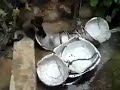 القرد الذى تبحث عنه كل نساء العالم :D