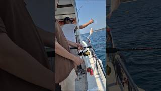 Bodrum Balık Avı