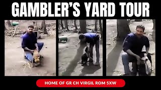 Inside Gambler Kennel Featuring Gr Ch Virgil Rom Legendary Apbt Bloodlines & Gamedog History