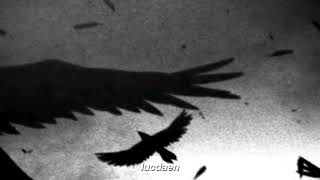Sam Tinnesz - Far From Home The Raven Türkçe Çeviri