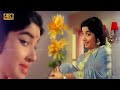 கல்யாண சந்தையிலே பாடல் | Kalyana Santhaiyile song | P. Susheela | Jayalalitha old tamil song .