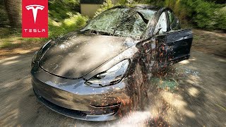 Tesla Driver Makes A $150,000 Mistake