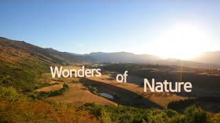 Wonders  of   nature