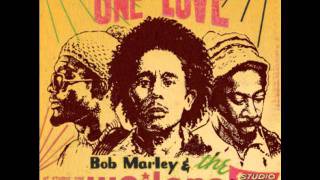 Watch Bob Marley I Made A Mistake video