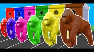 Colors Animals Gorilla Lion & Dinosaurs Fun Learning  for Kids