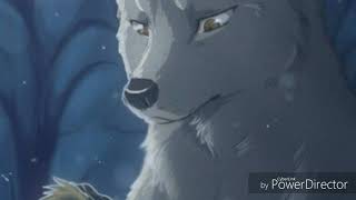 Anime wolves ~I hate you I love you~