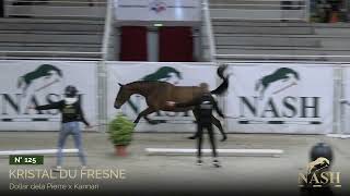 N125-Kristal Du Fresne - Training Nash Elite Auction - October 27Th, 28Th & 29Th Of 2023
