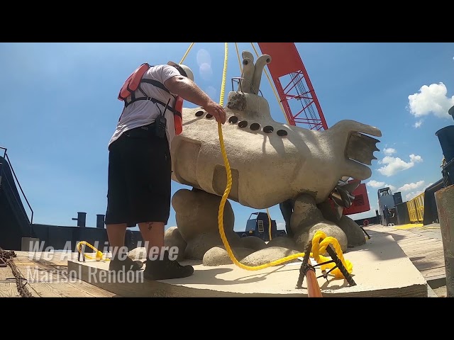 All Videos