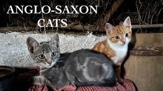 Taming Feral Kittens To Tackle The Mice On My Early Medieval Farmstead - Anglo-Saxon Cats