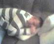 ROYSTON SHAMROCK FUK EH MONKS