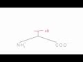 Memorize the 20 amino acids in 20 minutes (Part 1)
