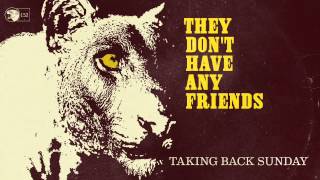 Watch Taking Back Sunday They Dont Have Any Friends video