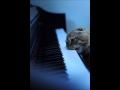 youtube result thumbnail