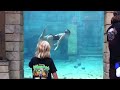 Female Diver Melissa Dawn Underwater Performer: flips, tricks, bubble rings, walking, breath hold