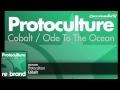 Protoculture - Cobalt (Original Mix)