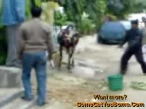 Stupid People - Why R People So Dumb??