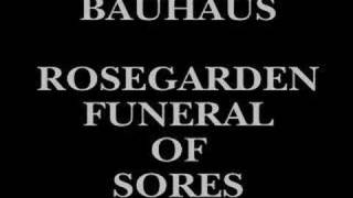 Watch Bauhaus Rosegarden Funeral Of Sores video