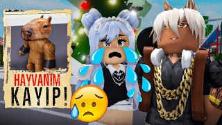 Evci̇l Hayvanimiz Kayboldu Kaçirildi Mı? Roblox Brookhavenrp