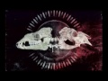 No One By My Side Video preview
