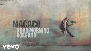 Video Good Morning Soledad Macaco