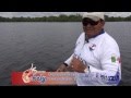 LAGUNA COMETA PARTE 2 ENERO 24 2015 LAGUNA COMETA PARTE 2 ENERO 24 2015