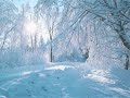 Video: Winter Wonderland