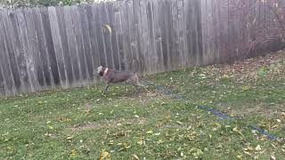 Meryl Streep in the yard