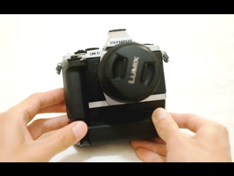 Olympus forex review