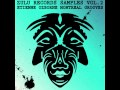 Zulu Samples Vol. 2 - Etienne Ozborne Montreal Grooves - Demo Track
