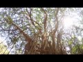 Гоа, Индия - отдых и пляжи - "GOA, India (road movie)", февраль 2014 Гоа, Индия - отдых и пляжи - "GOA, India (road movie)", февраль 2014