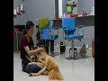 Beautiful Single Mom Feeding And Make Love With Her Dog