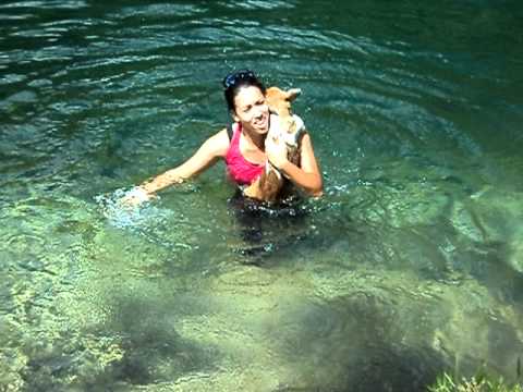 Araxá 2011 - Belinha Nadando