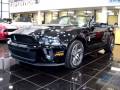 2010 Ford Mustang Shelby GT500 Cobra Black Convertible LOADED