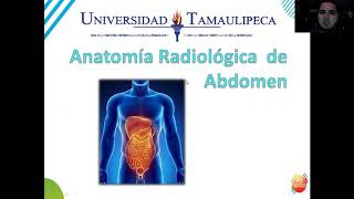 Anatomia Radiologica De Abdomen