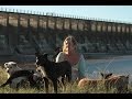 La mujer de los perros - trailer