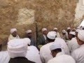 البردة