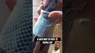 A Easy Way To Piss Reptile Keepers Off