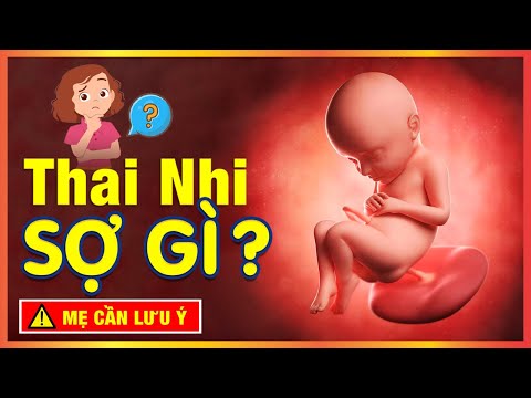 Thai nhi sợ nhất điều gì - TOP 11 điều thai nhi sợ nhất bà bầu cần biết khi mang thai.