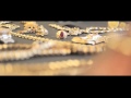 Swagg Man - Black Card (Official Video)