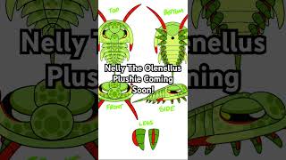 Nelly The Olenellus Santuccii Trilobite Coming Soon From Fromtheshaleplushies Designed By Saureal