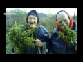 Funny Pictures TROLL Whatsapp Pics Fails ✔ Funny Videos engraçados