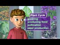 Life Science for Kids - Photosynthesis, Cells, Food Chains & More