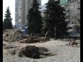 zhzh.info Реконструкция сквера в Житомире