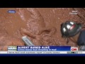 quicksand mud